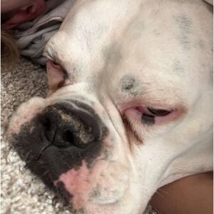 Meet your Posher, Georgia